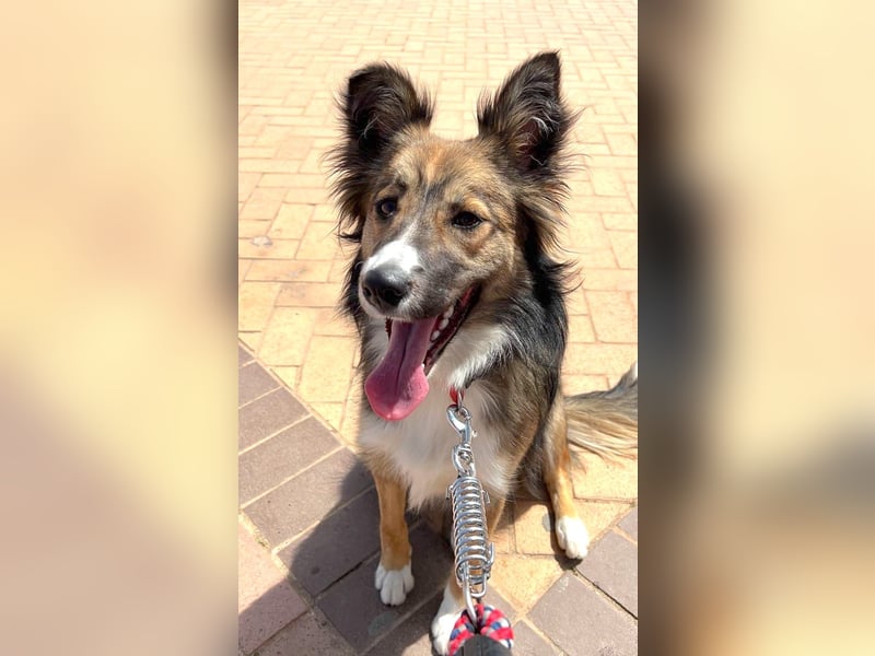 NALA – kleine verschmuste Lady NALA – kleine verschmuste Lady