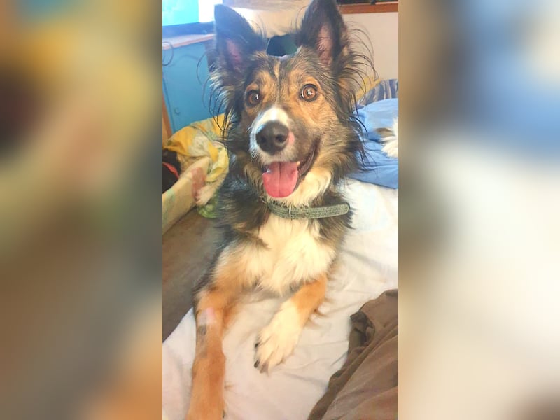 NALA – kleine verschmuste Lady NALA – kleine verschmuste Lady