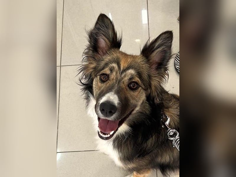 NALA – kleine verschmuste Lady NALA – kleine verschmuste Lady