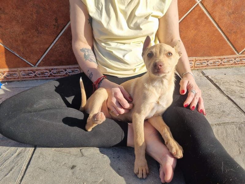 FRISóN - charmant, lebensfroh und neugierig