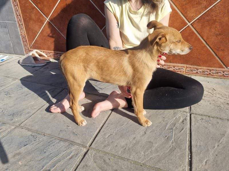 MORGAN – fröhlicher Wirbelwind mit großem Herzen