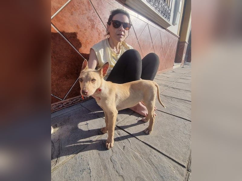 FRISóN - charmant, lebensfroh und neugierig