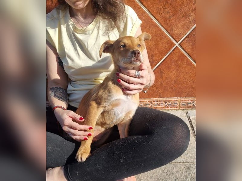 MORGAN – fröhlicher Wirbelwind mit großem Herzen