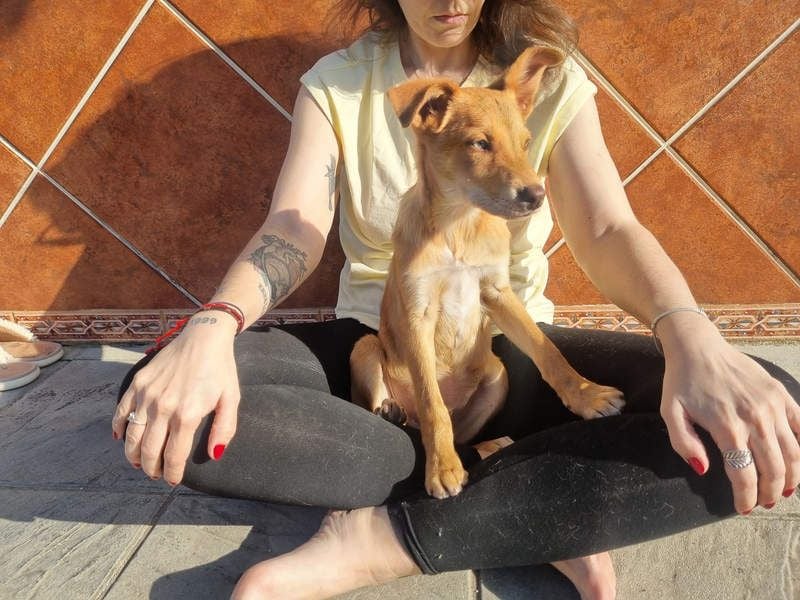 MORGAN – fröhlicher Wirbelwind mit großem Herzen