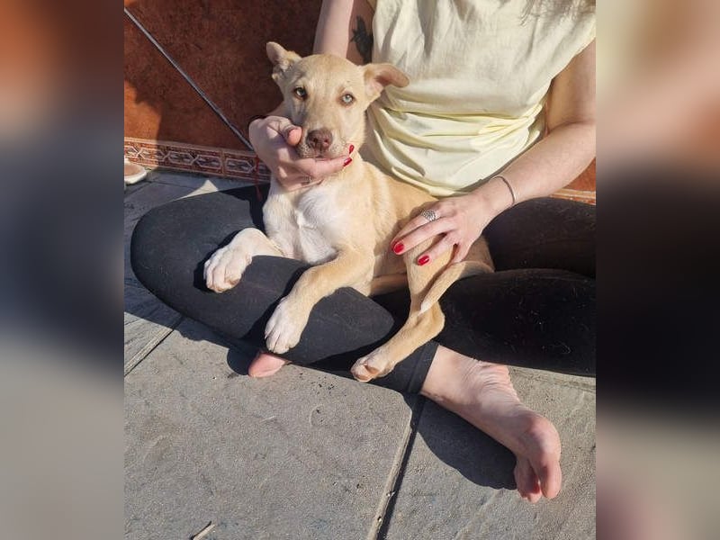 KONIK - kleiner Entdecker