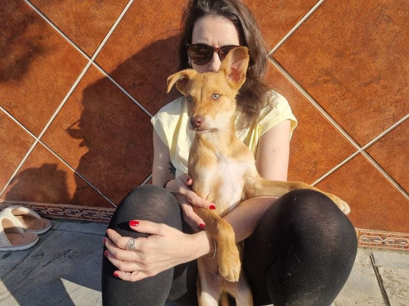 MORGAN – fröhlicher Wirbelwind mit großem Herzen