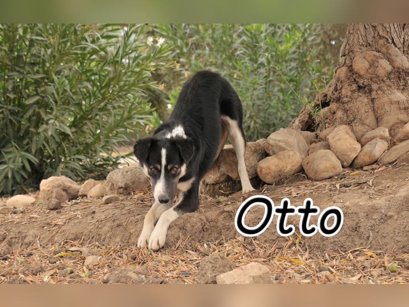 Schenken Sie Otto Glück?