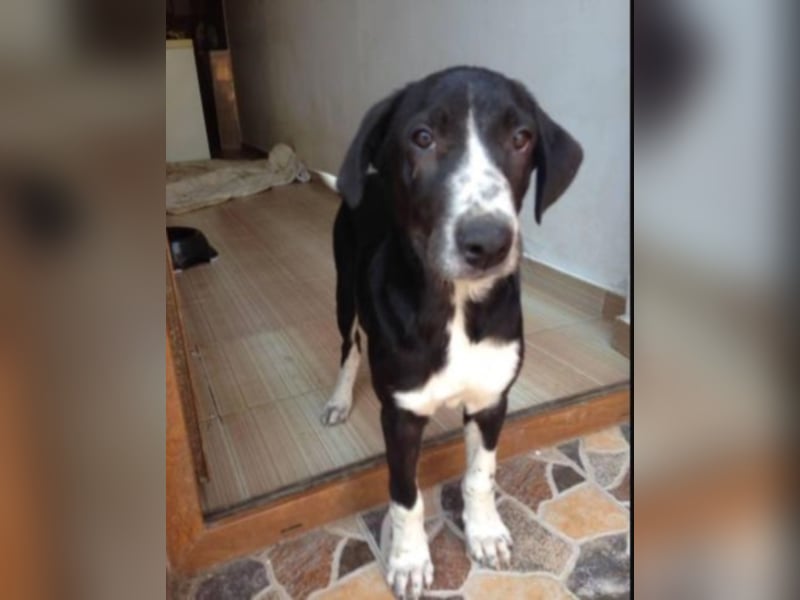 Orhan sucht seine Familie  