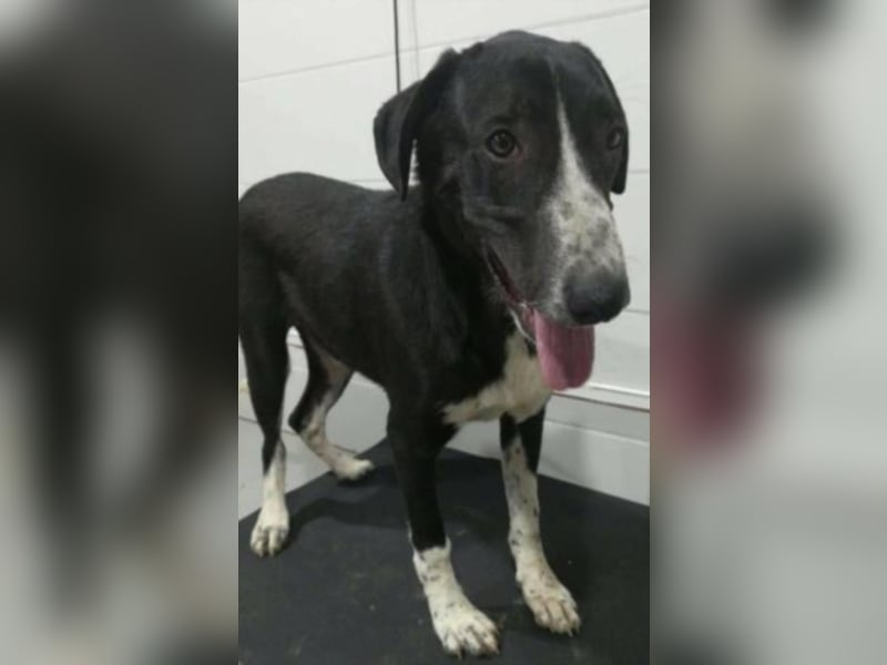 Orhan sucht seine Familie  