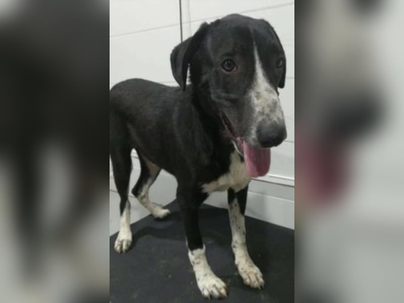 Orhan sucht seine Familie  