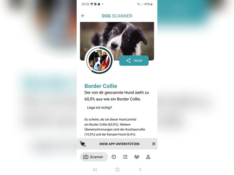 ❤️Fido, kleiner Border-Mix 7 Mon., mit großem Herzen sucht seine Familie!