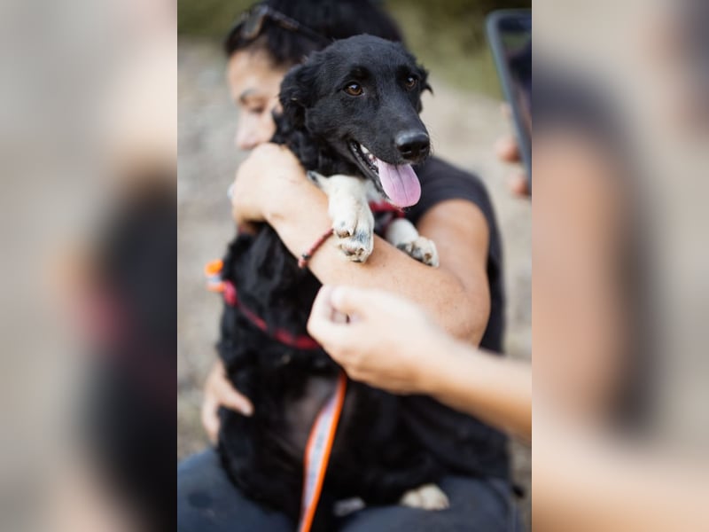 Tina ❤️ verspielte, kuschlige junge Hundedame