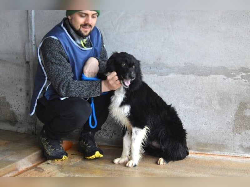 Balveer - Kluger Kopf mit viel Power