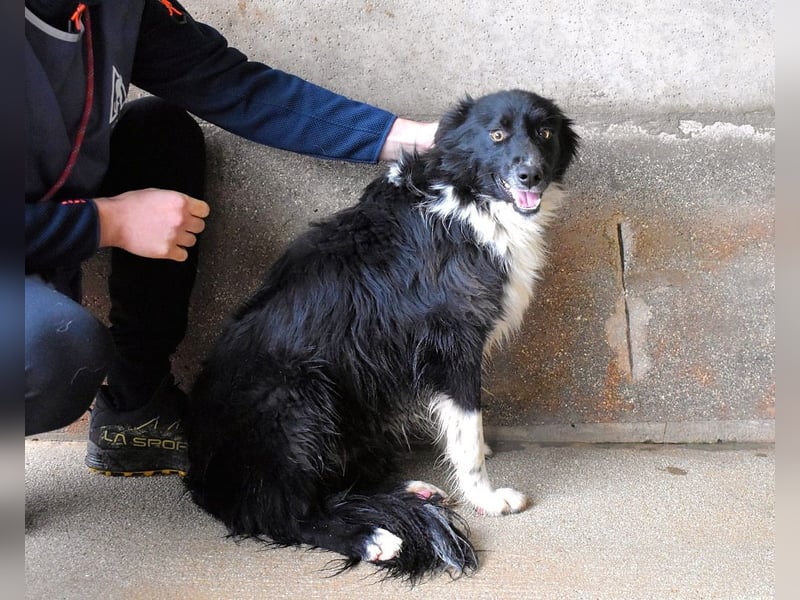 Balveer - Kluger Kopf mit viel Power