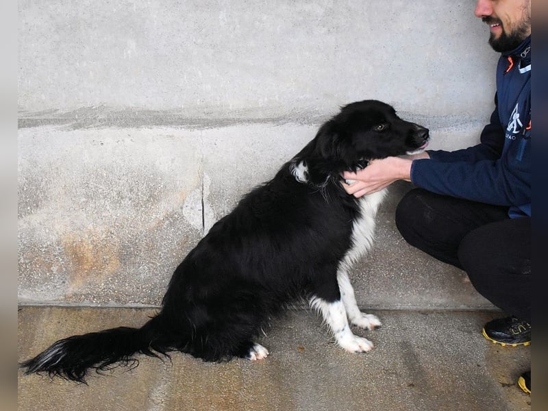 Balveer - Kluger Kopf mit viel Power