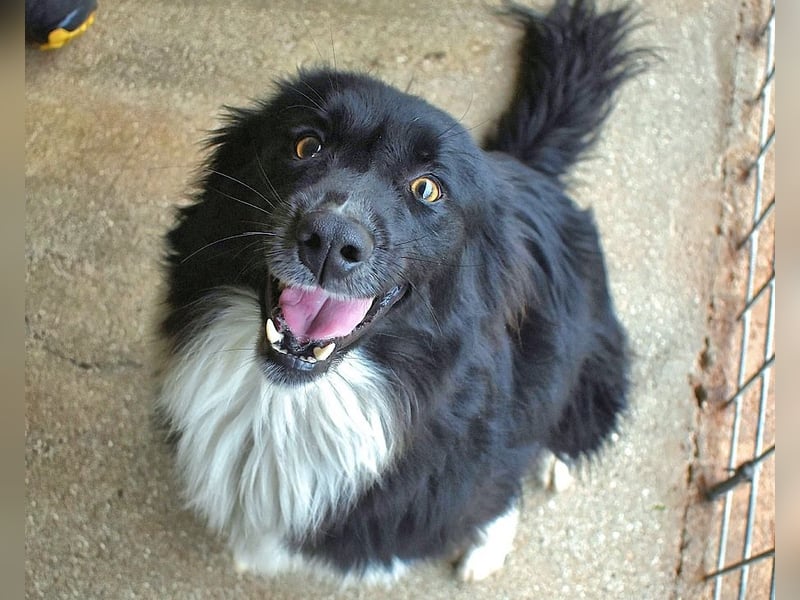 Balveer - Kluger Kopf mit viel Power