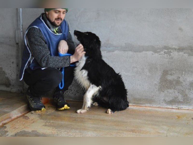 Balveer - Kluger Kopf mit viel Power