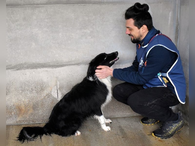 Balveer - Kluger Kopf mit viel Power