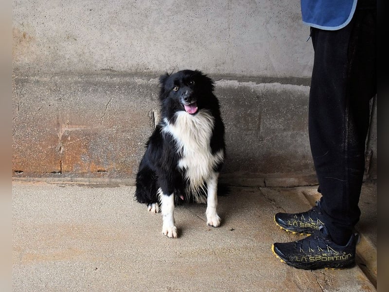Balveer - Kluger Kopf mit viel Power