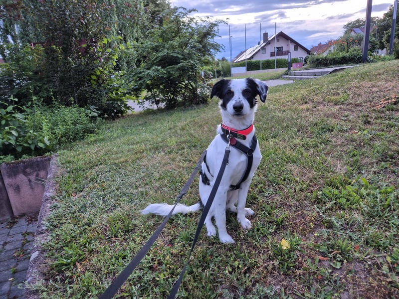 Skyla sucht ihre Herzensmenschen