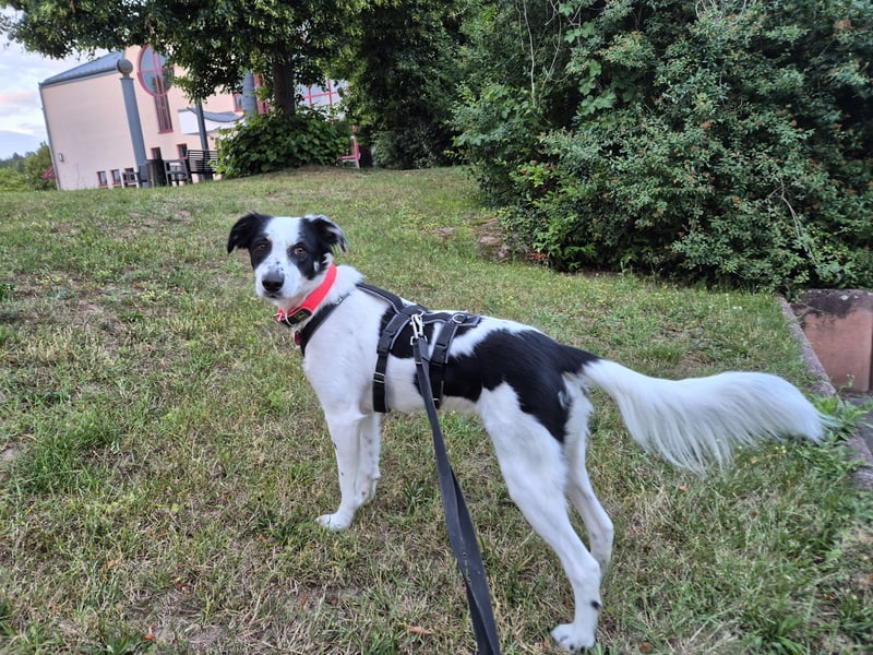 Skyla sucht ihre Herzensmenschen
