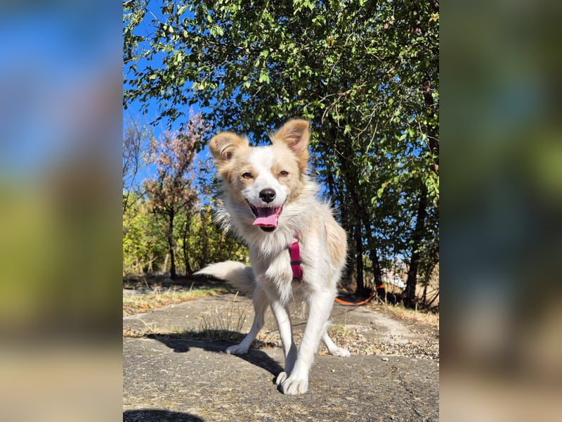 Sanfte Stina sucht Menschen mit Herz