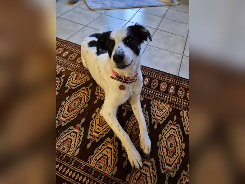 Skyla sucht ihre Herzensmenschen