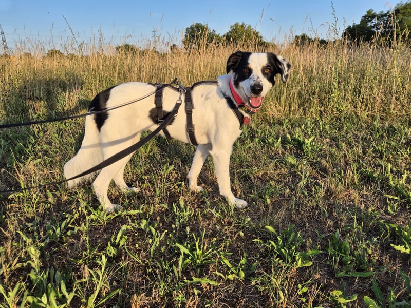 Skyla sucht ihre Herzensmenschen