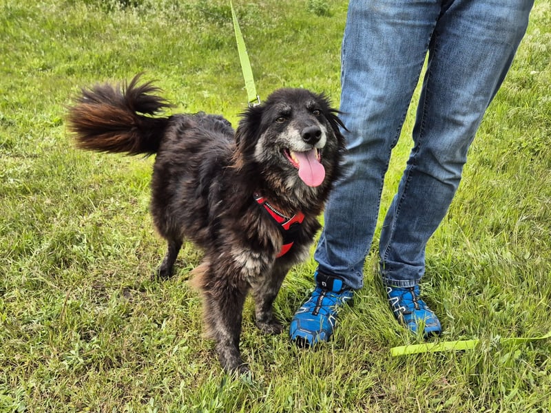 Hübsche Berta sucht ihre Menschen