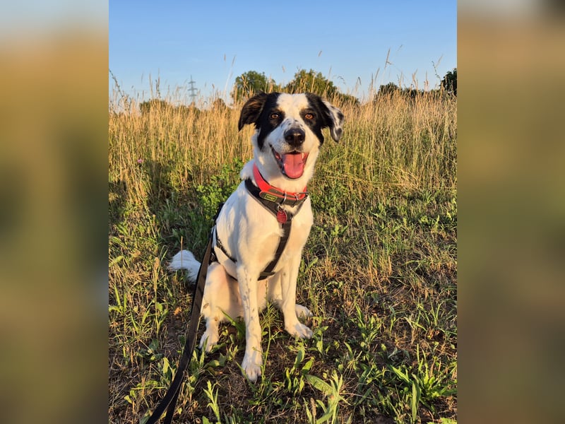 Skyla sucht ihre Herzensmenschen