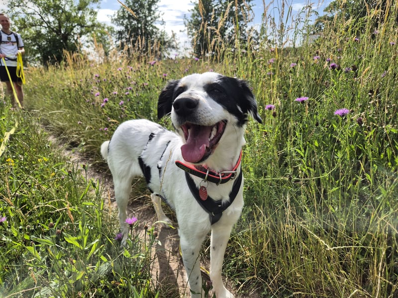 Skyla sucht ihre Herzensmenschen