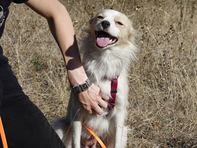 Sanfte Stina sucht Menschen mit Herz