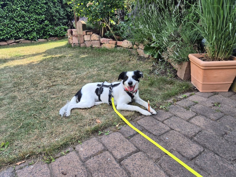 Skyla sucht ihre Herzensmenschen