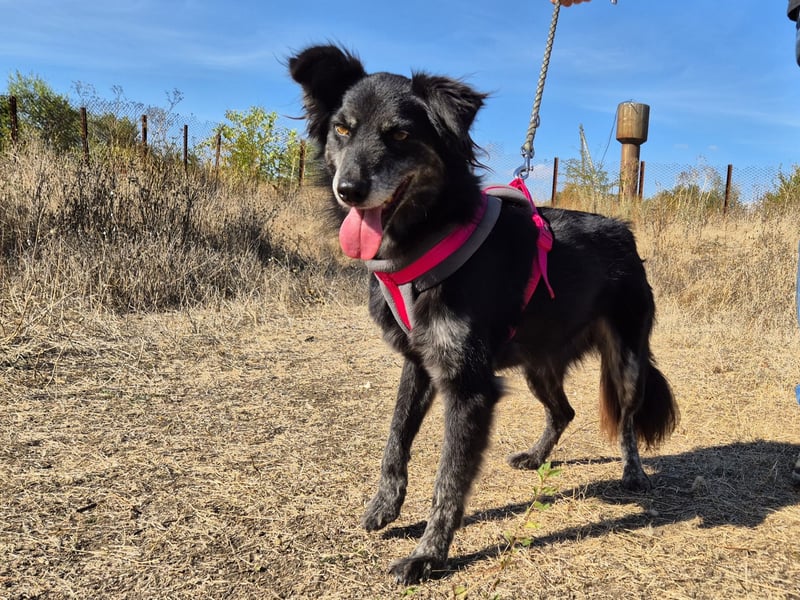Hübsche Berta sucht ihre Menschen