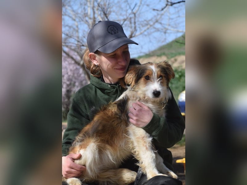 Nancy - aufgeschlossene, freundliche, verschmuste und verspielte junge Hündin