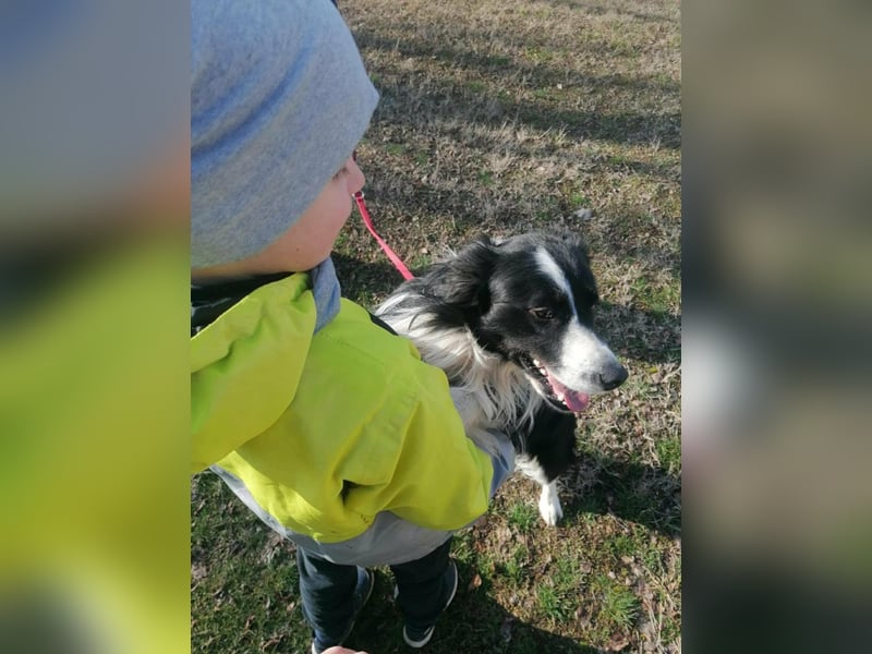 Enzo, geboren 20.11.2024, 50cm sucht aktive Menschen