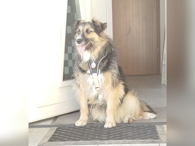 Lucy braucht ihre Menschen