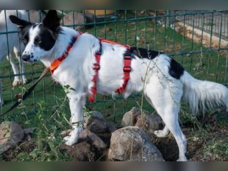 Lea sucht ihre Familie