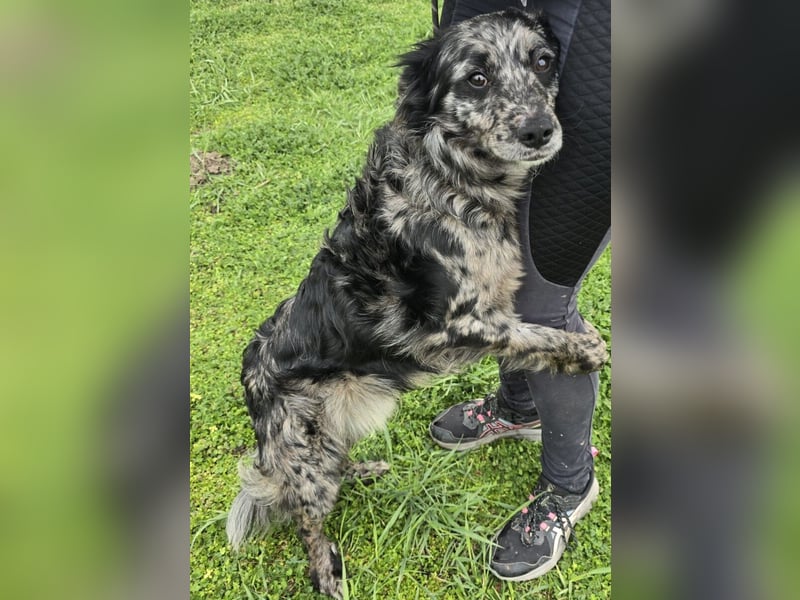 Florentino genannt Flo