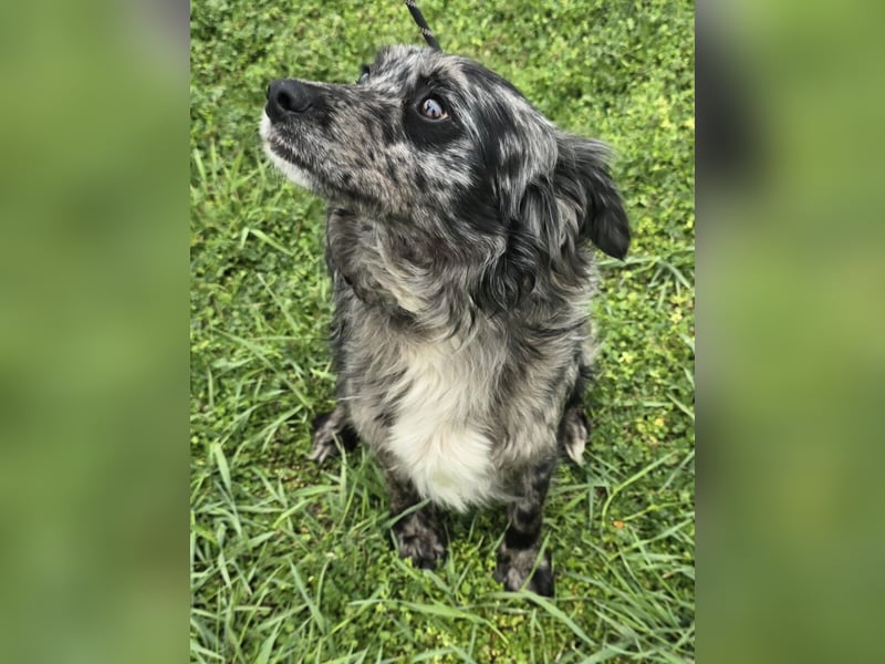 Florentino genannt Flo