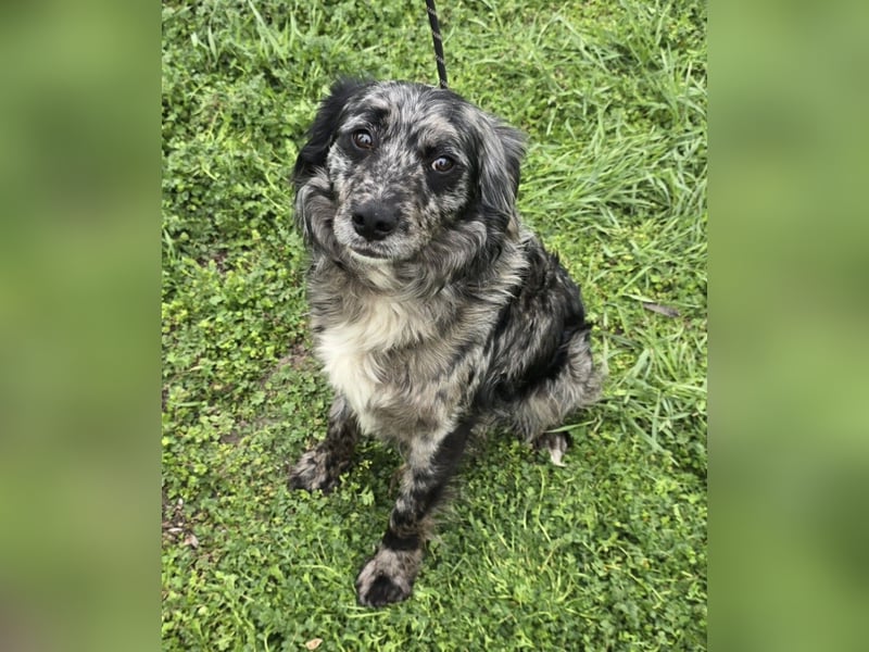 Florentino genannt Flo