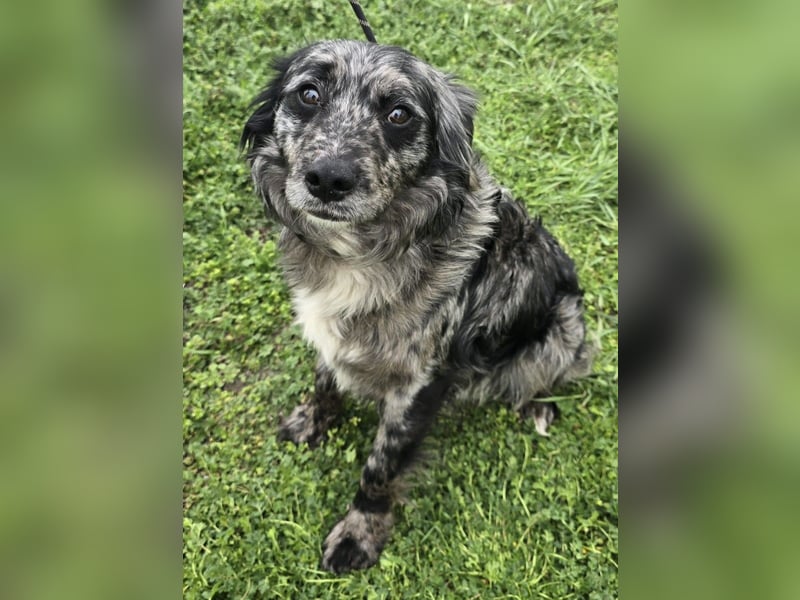 Florentino genannt Flo