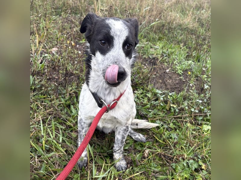 Kevin wie aus dem Film “Kevin alleine Zuhause”