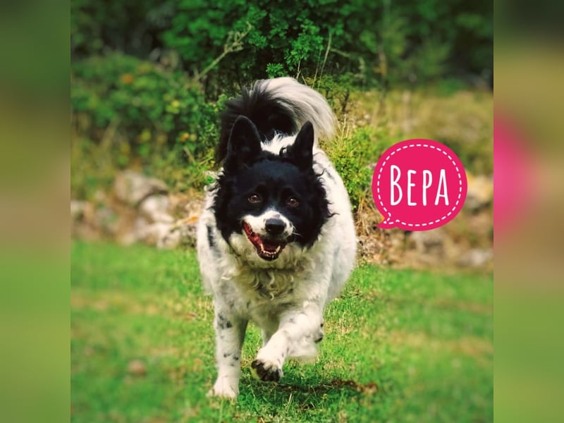 Bepa eine Knutschkugel