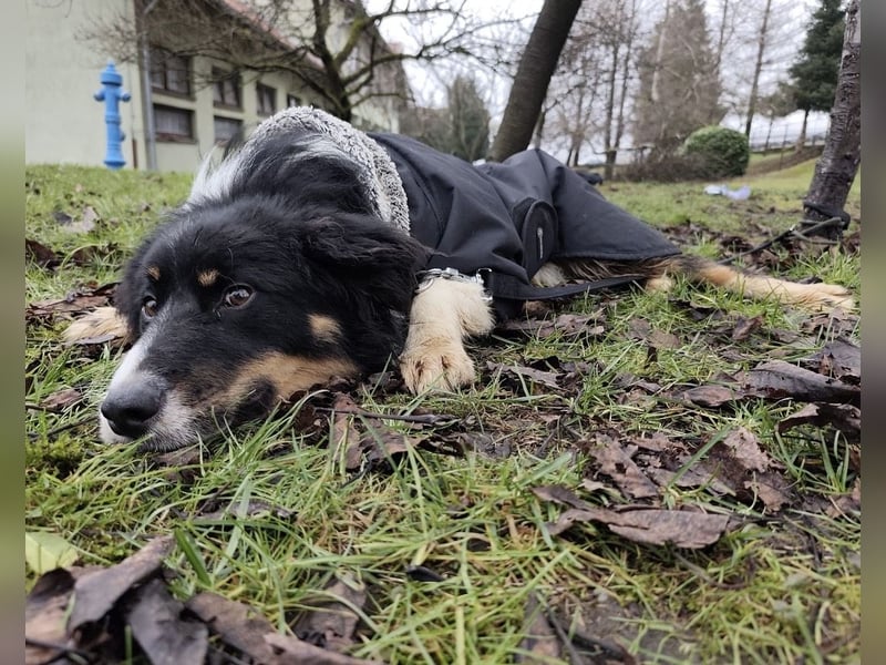 Charles ein vitaler Kerlchen