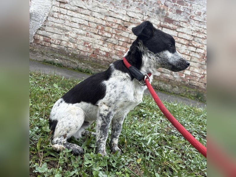 Kevin wie aus dem Film “Kevin alleine Zuhause”