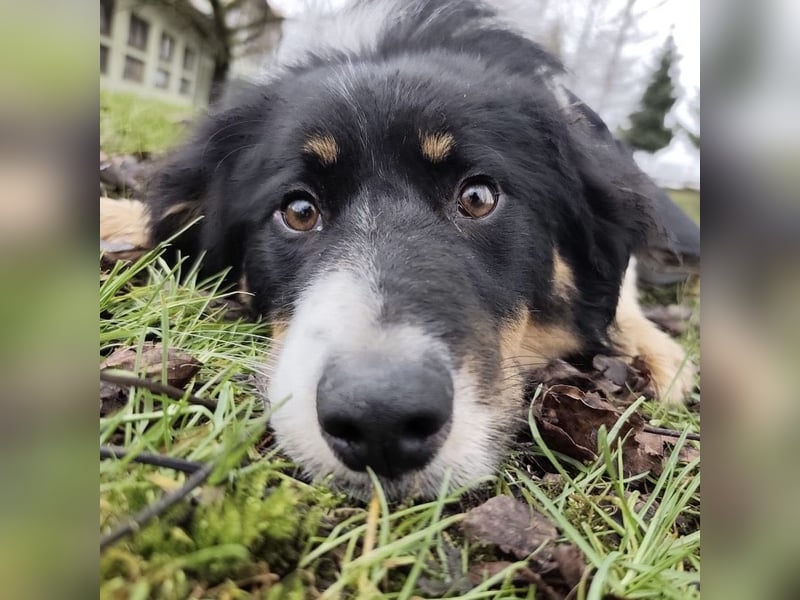 Charles ein vitaler Kerlchen