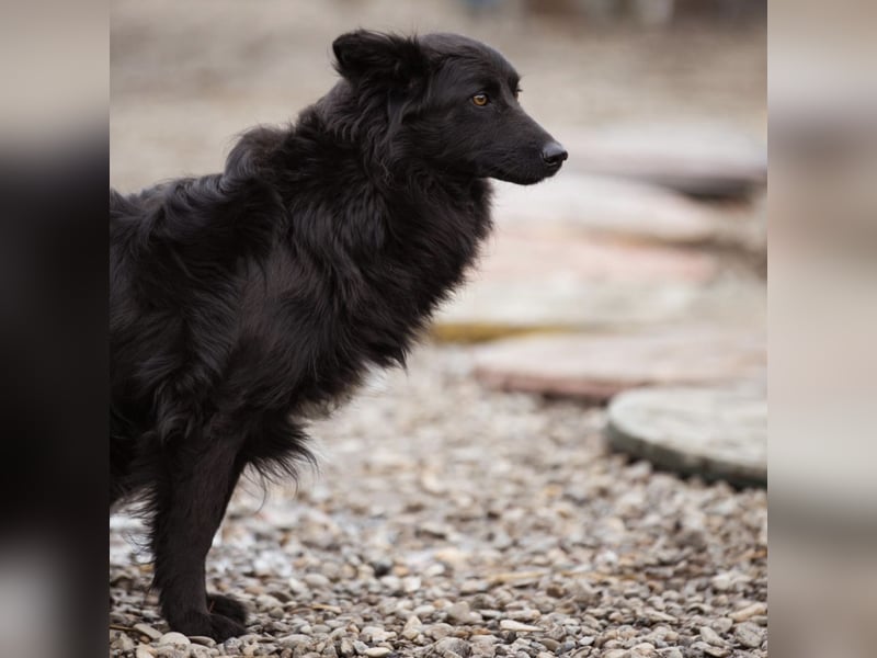 Edita eine zerbrochene Seele
