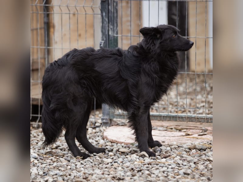 Edita eine zerbrochene Seele