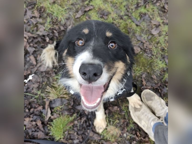 Charles ein vitaler Kerlchen